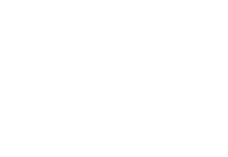 Ford Caminhões