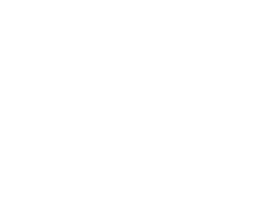 VPJ